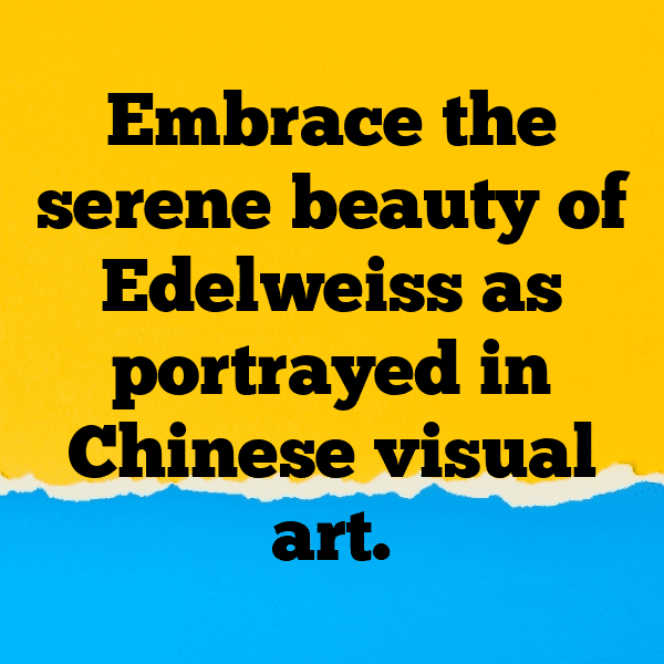 Edelweiss Captions Image For Instagram-XZvyac