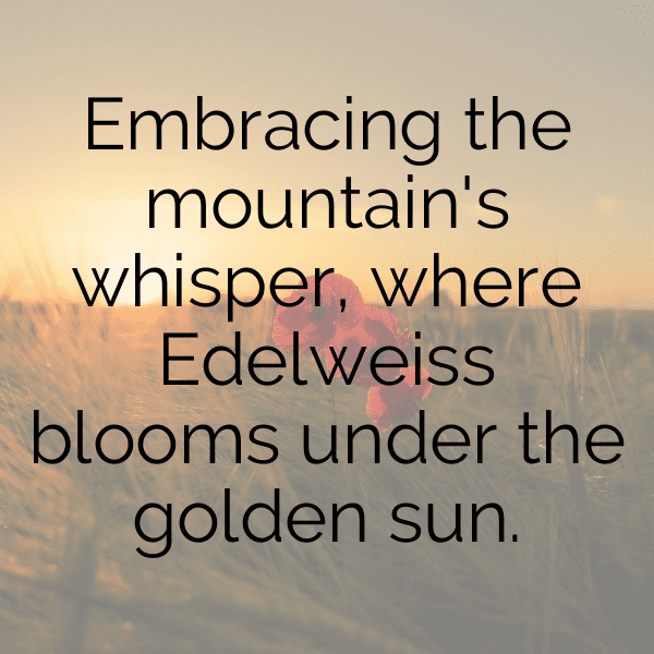 Edelweiss Captions Photo For Instagram-vbbqFS