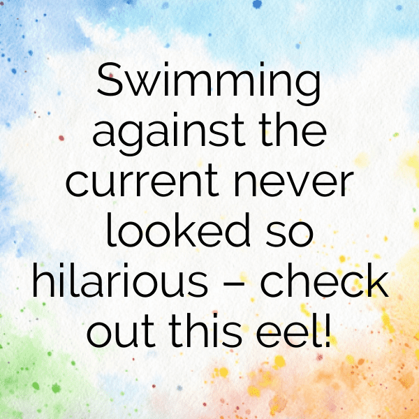 Eel Captions Image For Instagram-FCwMGJ