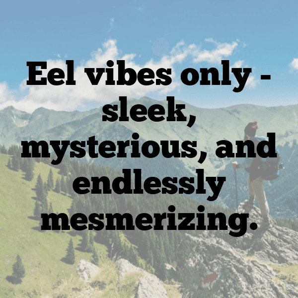 Eel Captions Photo For Instagram-VClmdw