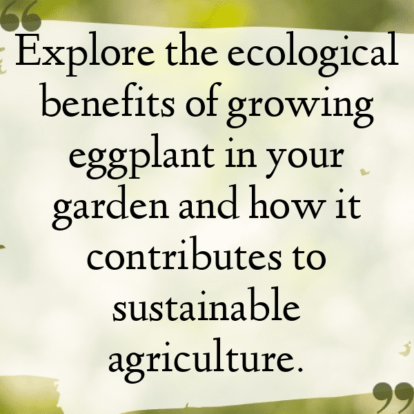 Eggplant Captions Photo For Instagram-2kaACc