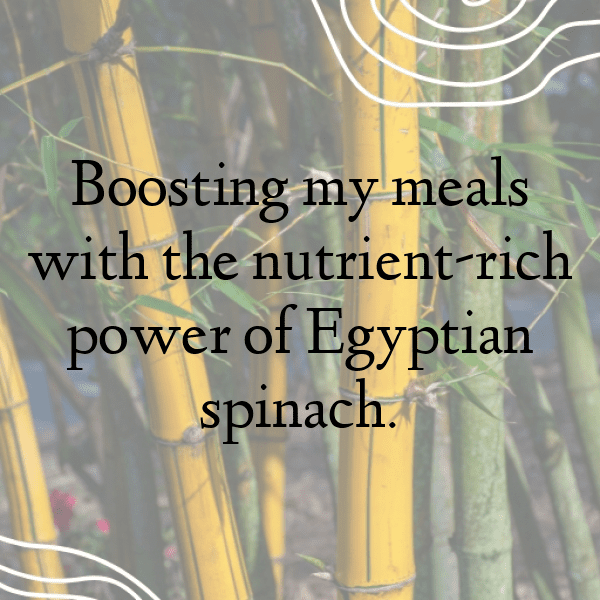 Egyptian Spinach Captions Photo For Instagram-eS57Pc