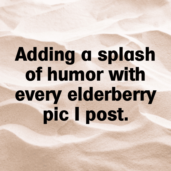 Elderberry Captions Image For Instagram-6xg2xF