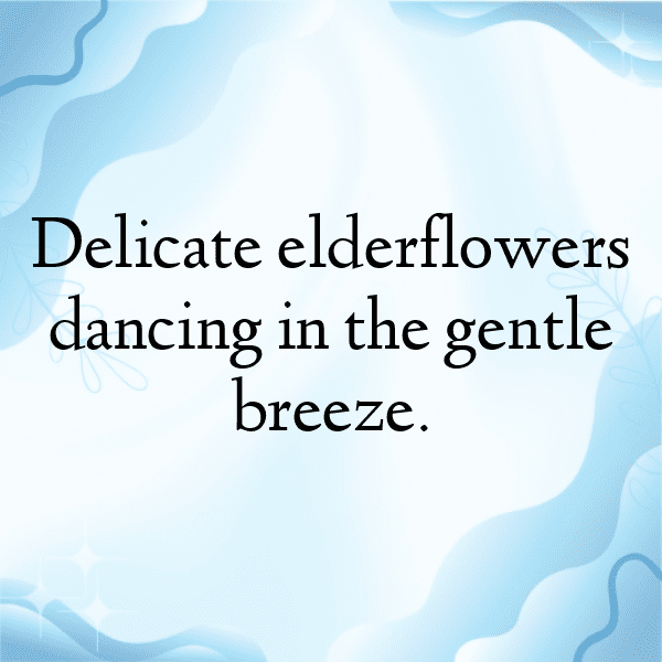 Elderflower Captions Photo For Instagram-QwMp9B