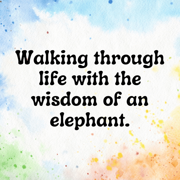 Elephant Captions Image For Instagram-Fae6UD