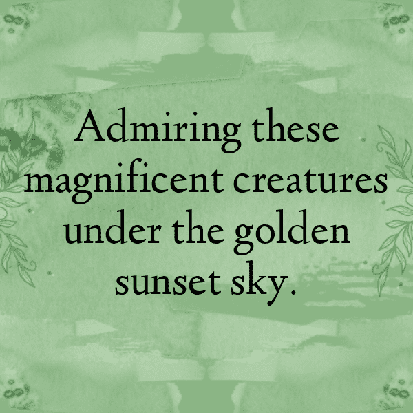 Elephant Captions Photo For Instagram-4lUazd