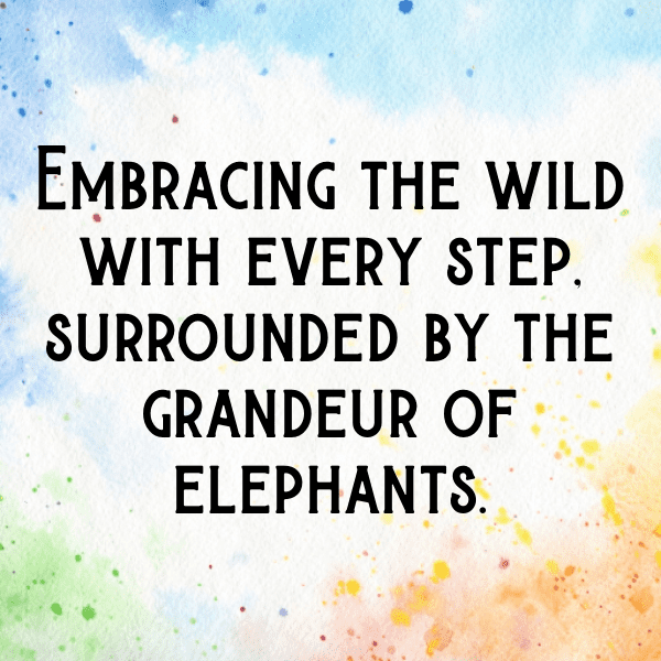 Elephant Captions Photo For Instagram-d0MoxX