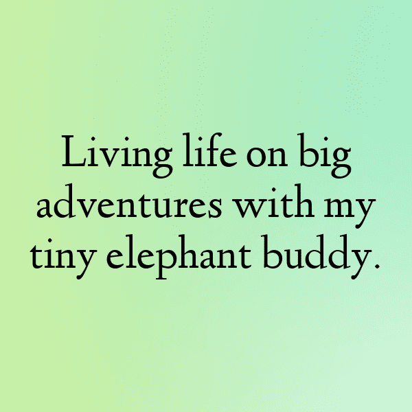 Elephant Captions Photo For Instagram-QSRdqB
