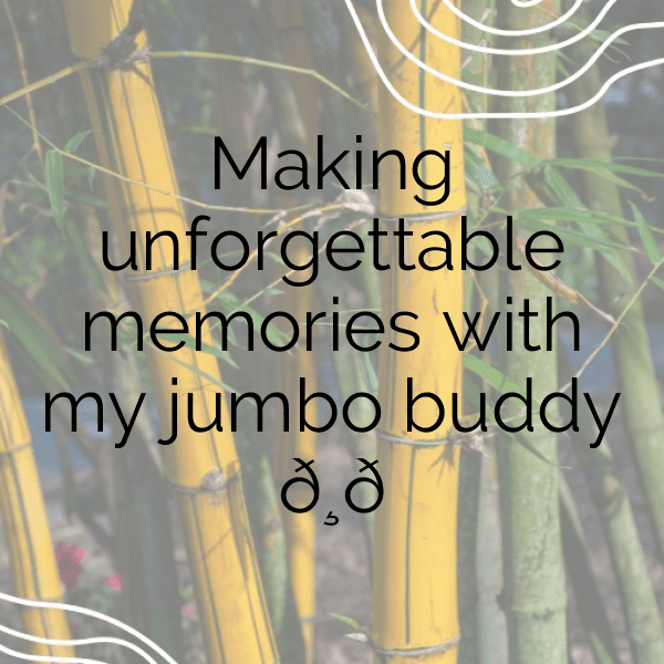 Elephant Captions Photo For Instagram-sLp1Ad