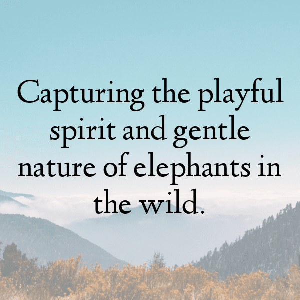 Elephant Garlic Captions Photo For Instagram-5RG5Ea