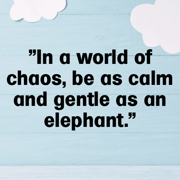 Elephant Garlic Captions Photo For Instagram-p4LHrm