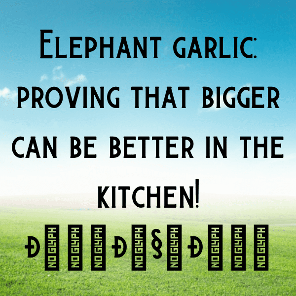 Elephant Garlic Captions Photo For Instagram-zk5tCS