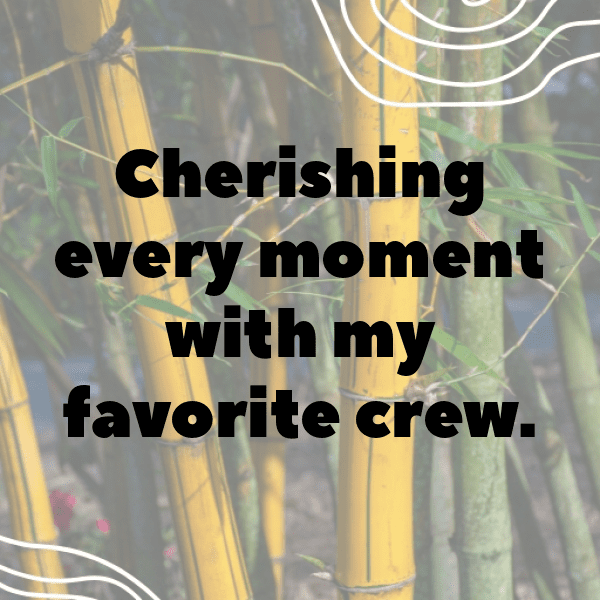 Elk Captions Image For Instagram-68WJy8