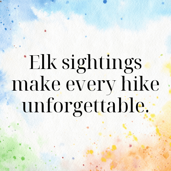 Elk Captions Image For Instagram-HAGCrw