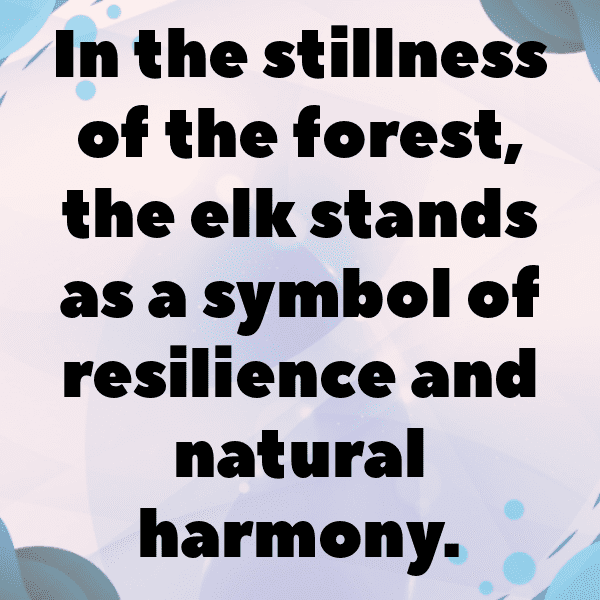 Elk Captions Image For Instagram-SAdSUY