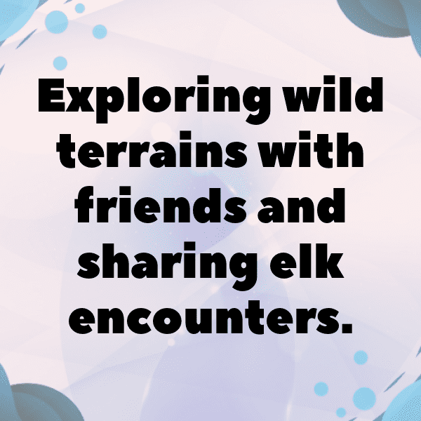 Elk Captions Photo For Instagram-6Wdz1H