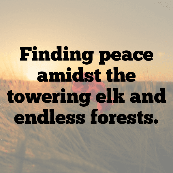 Elk Captions Photo For Instagram-vHdSGk