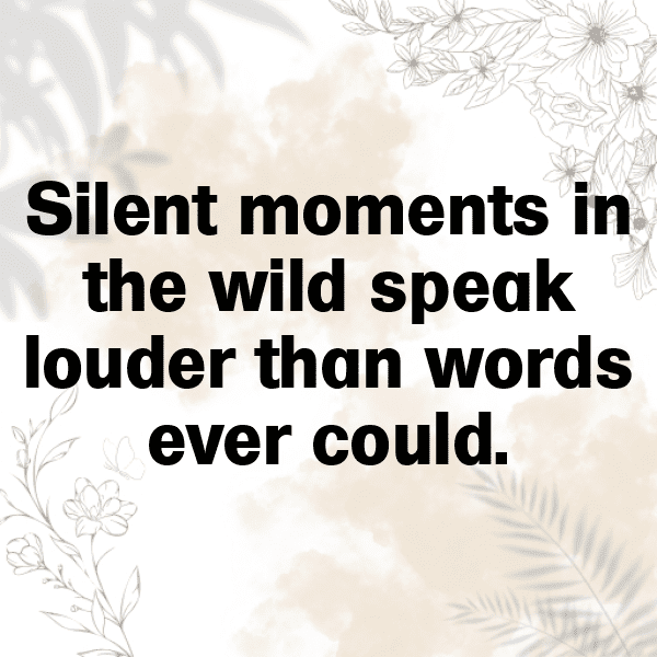 Elk Captions Photo For Instagram-XwMceU