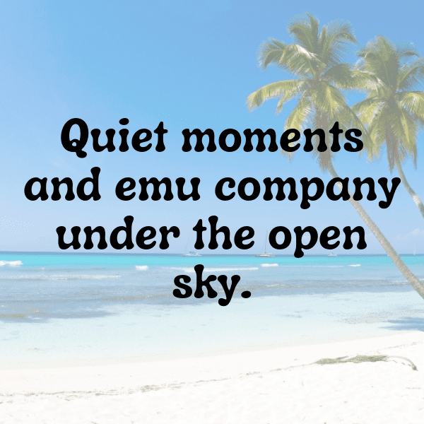 Emu Captions Image For Instagram-72WCEm