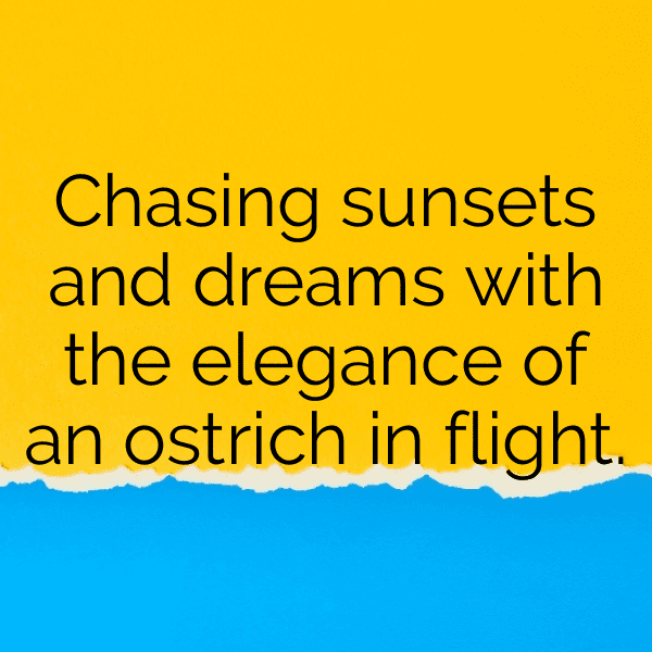 Emu Captions Image For Instagram-PCdmKL