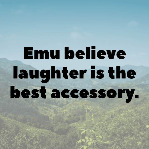 Emu Captions Image For Instagram-yd1Yyh