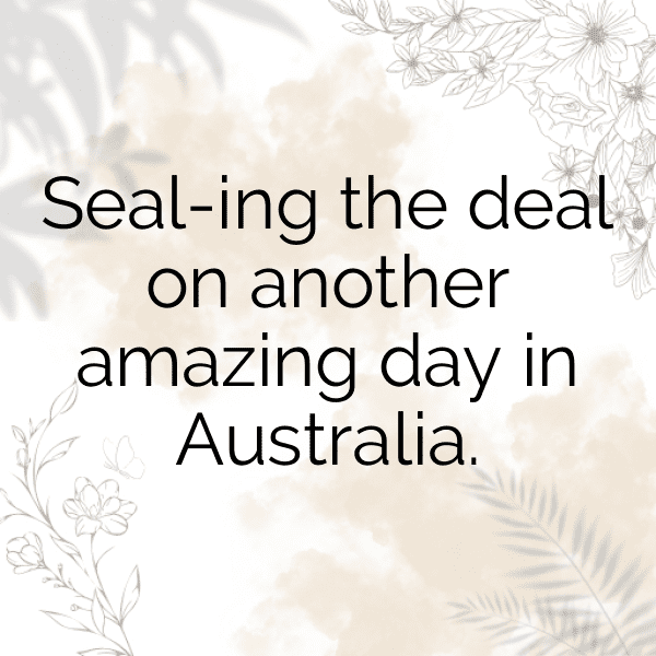 Emu Captions Image For Instagram-YIc28q