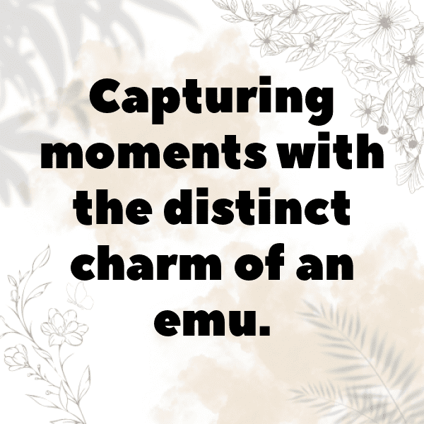 Emu Captions Photo For Instagram-XWcaAb