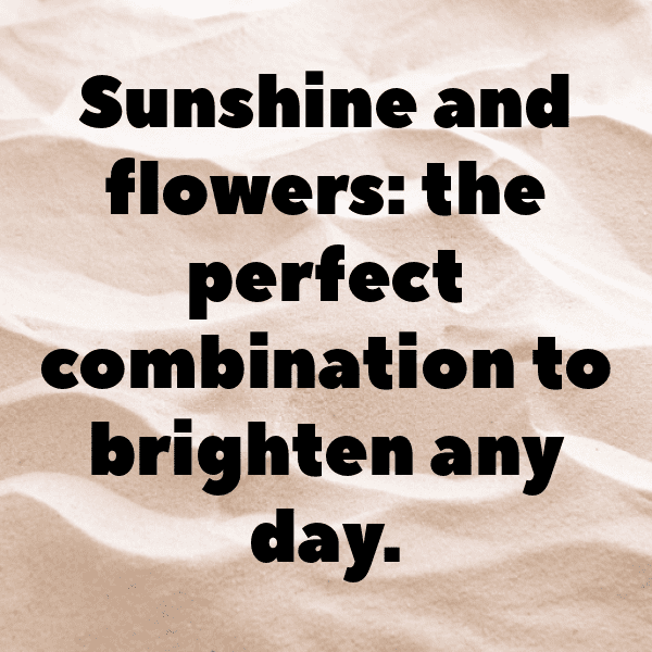 Endive Captions Image For Instagram-3WdceG