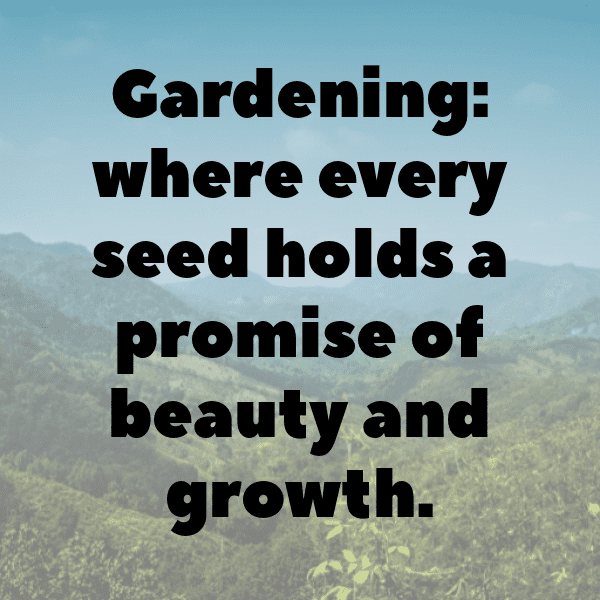 Endive Captions Image For Instagram-JkvihL