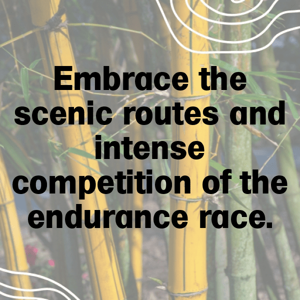 Endurance Racing Captions Image for Instagram-6Y9ZsQ