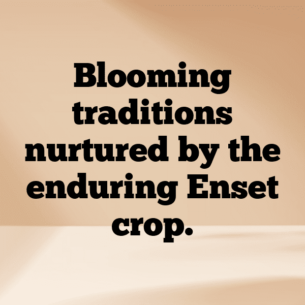 Enset Captions Image For Instagram-kaJV6J