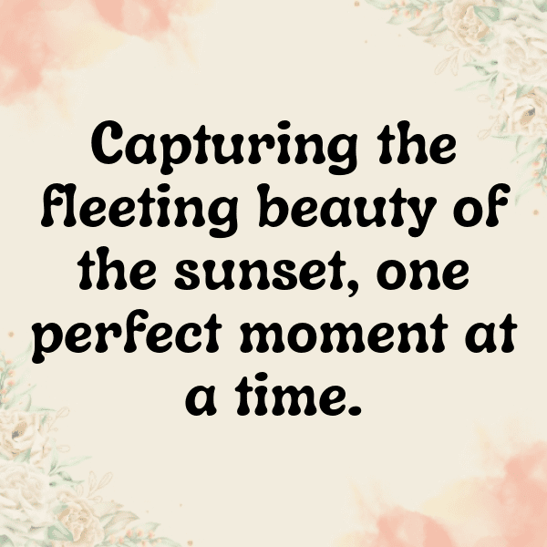 Enset Captions Photo For Instagram-L2goEo