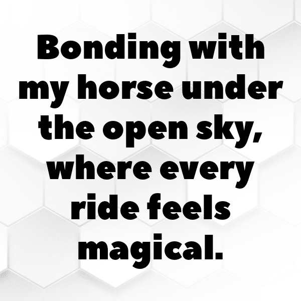 Equestrian Captions Photo for Instagram-83vd9m