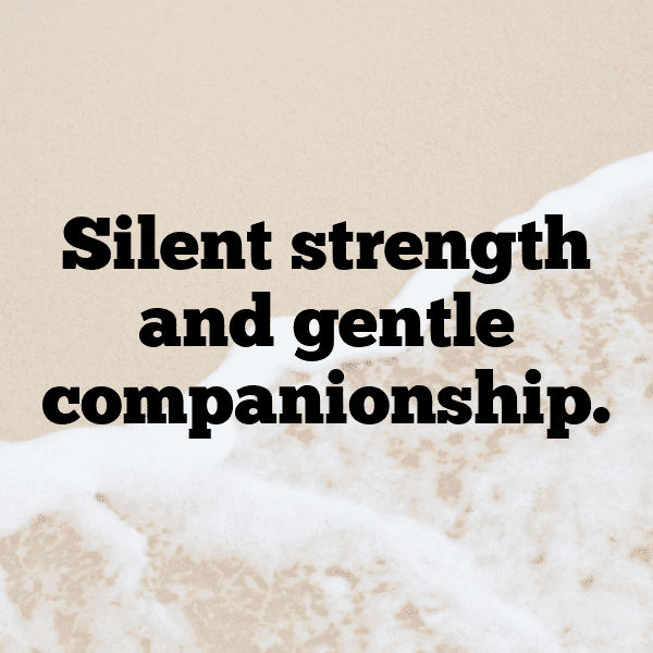 Equestrian Captions Photo for Instagram-aYrfc7