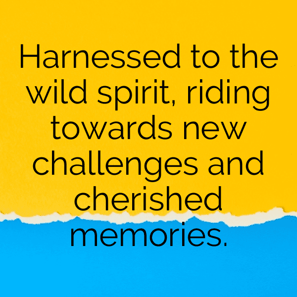 Equestrian Captions Photo for Instagram-cEhVNF