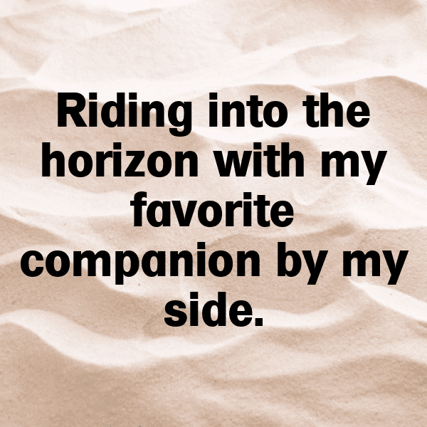 Equestrian Captions Photo for Instagram-Cn2Wqt