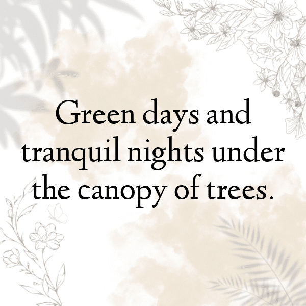 Eruca Captions Image For Instagram-YfKPYc