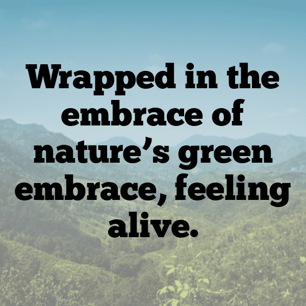 Eruca Captions Photo For Instagram-s55k51