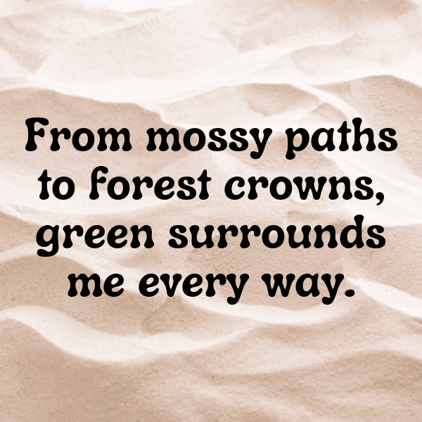 Eruca Captions Photo For Instagram-VWR4tu