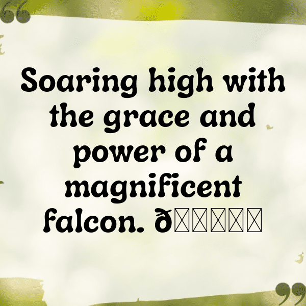 Falcon Captions Image For Instagram-Oo8iLT
