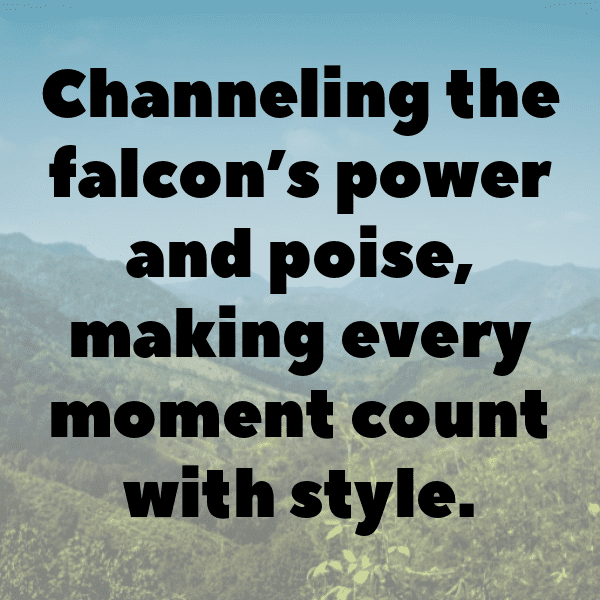 Falcon Captions Photo For Instagram-6ppEb9