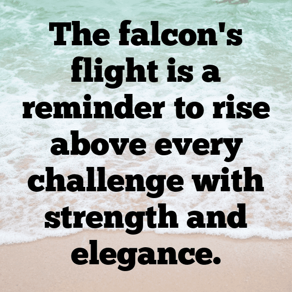 Falcon Captions Photo For Instagram-H7F0y1