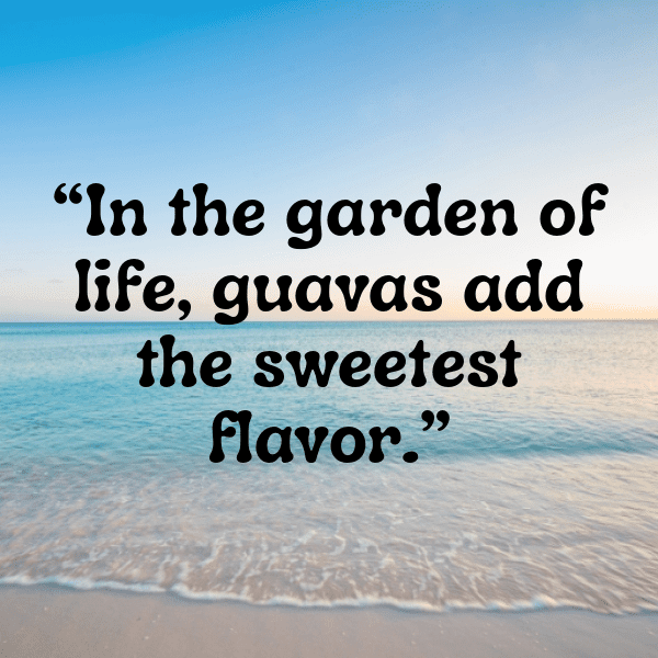 Feijoa Captions Image For Instagram-OnKDrH