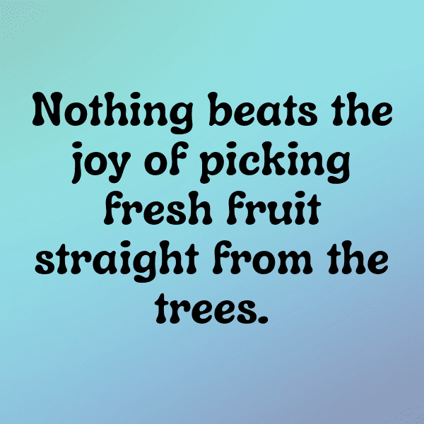 Feijoa Captions Image For Instagram-pfjjso