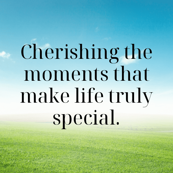 Fencing Captions Image for Instagram-y8q2wA