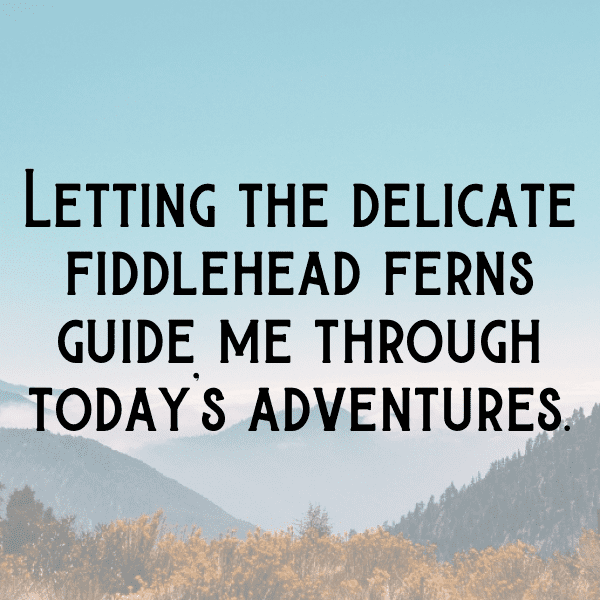 Fiddlehead Fern Captions Image For Instagram-OkWSmX