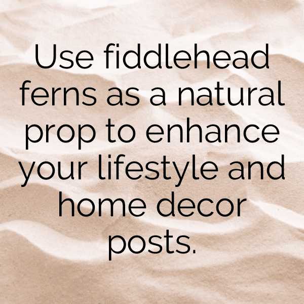 Fiddlehead Fern Captions Image For Instagram-XbFgv7
