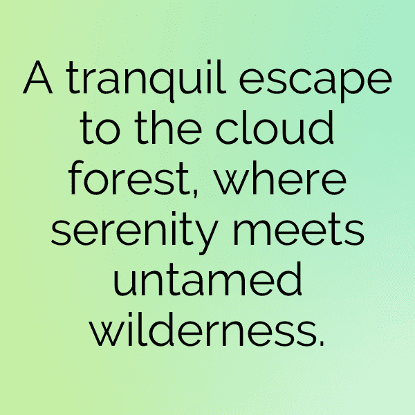 Field of Dreams Captions Image for Instagram-gq4ixt