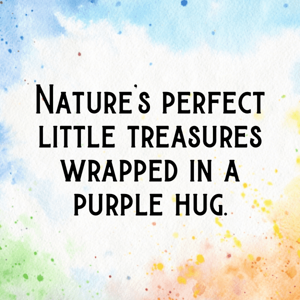 Fig Captions Image For Instagram-0MAo7S