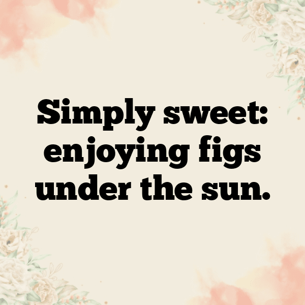 Fig Captions Image For Instagram-BnKAnA